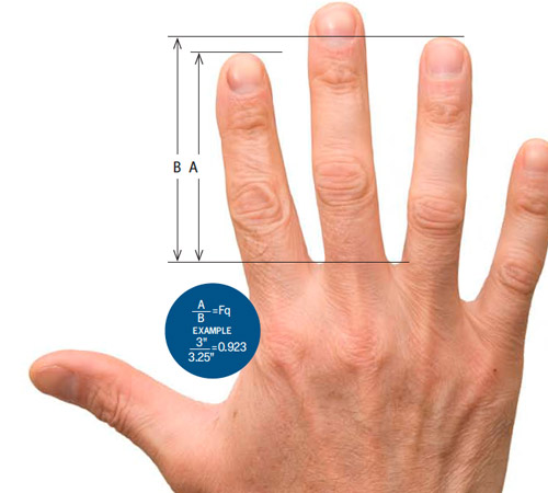 Độ dài của ngón tay nói gì về tính cách và sức khỏe của bạn? - 1