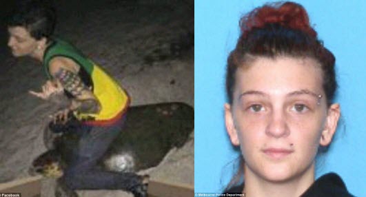 Cô gái Mỹ đối diện 5 năm tù vì cưỡi rùa biển - 1