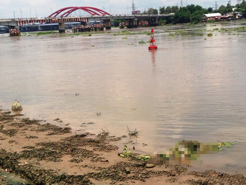 Phát hiện thi thể cô gái trẻ nổi trên sông Sài Gòn - 1