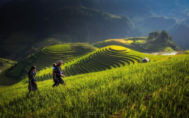 Trang web du lịch Exposureguide.com đã đăng tải bài viết về những hình ảnh ruộng bậc thang đẹp ngoạn mục ở miền núi phía Bắc Việt Nam của nhiếp ảnh gia người Thái Lan Sarawut Intarob.

