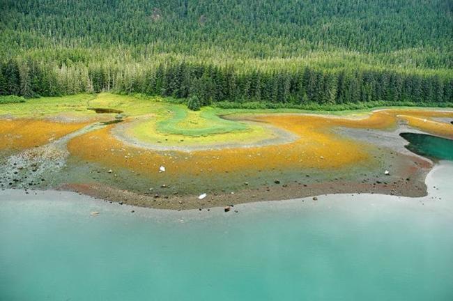 Vịnh Snettisham Peninsula nằm ở phía Nam vùng biển Alaska khiến bạn tưởng như đang đứng ở vùng đất ngoài hành tinh với đầm lầy muối đầy màu sắc và thảm cây xanh rì.