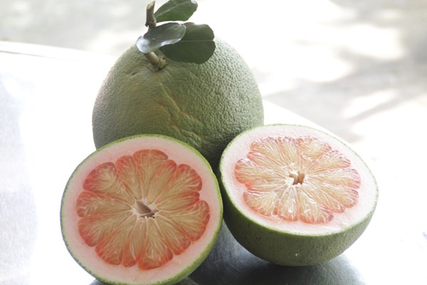 Nông dân trồng bưởi da xanh “hốt bạc” vì giá cao - 4