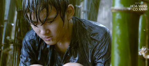 Hot boy “Tôi thấy hoa vàng trên cỏ xanh” khiến dân mạng mê mẩn - 4