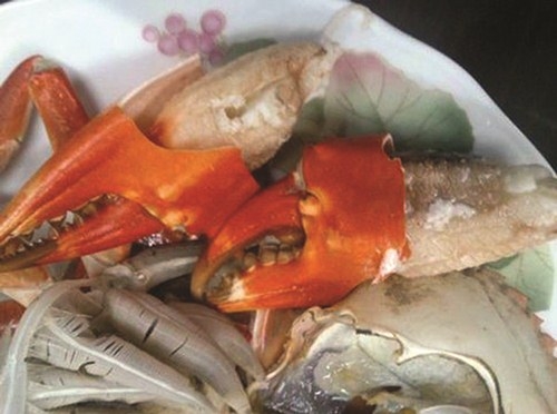 Truy tìm nguồn gốc cua biển siêu rẻ bán tràn lan ở HN - 2