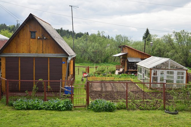 Ngỡ ngàng vẻ đẹp bình yên Siberia vào hè - 14