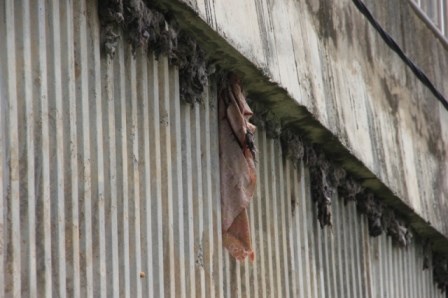 Nhiều vật lạ giữa các lớp bê tông ở cầu vượt đường sắt - 3