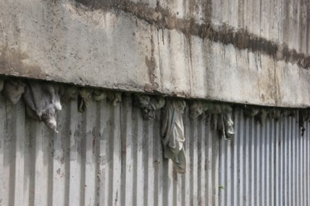 Nhiều vật lạ giữa các lớp bê tông ở cầu vượt đường sắt - 4