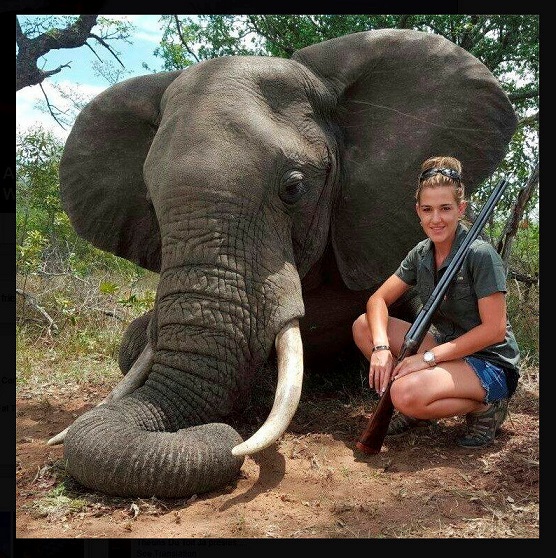 Bà mẹ Nam Phi giết động vật hoang dã để kiếm sống - 1
