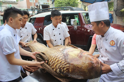 Cá hô nặng gần 130kg “bơi” từ Biển Hồ về Sài Gòn - 2