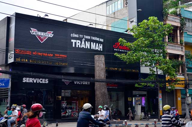 Cổ thụ gần 100 năm tuổi ở Sài Gòn bỗng chết bí ẩn - 9