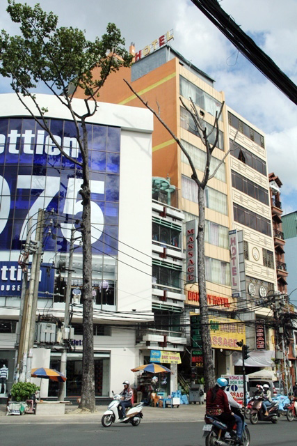 Cổ thụ gần 100 năm tuổi ở Sài Gòn bỗng chết bí ẩn - 14