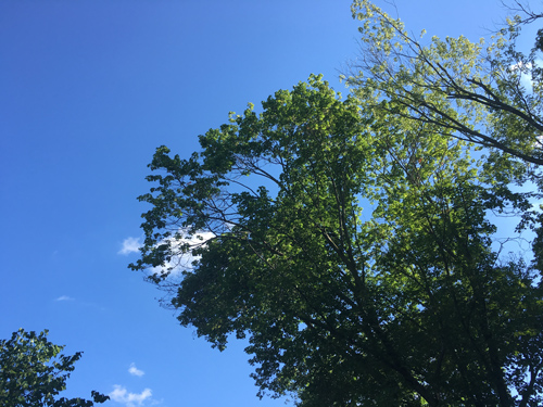So sánh camera Xperia X Performance với iPhone 6s - 12