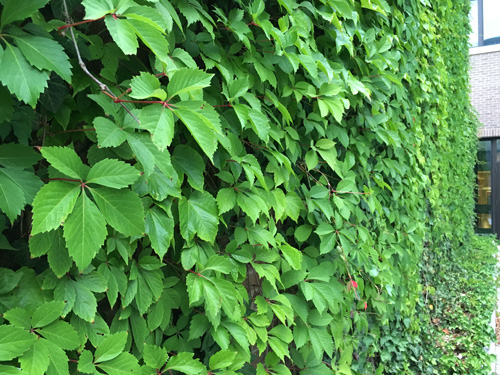 So sánh camera Xperia X Performance với iPhone 6s - 20