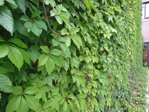 So sánh camera Xperia X Performance với iPhone 6s - 19