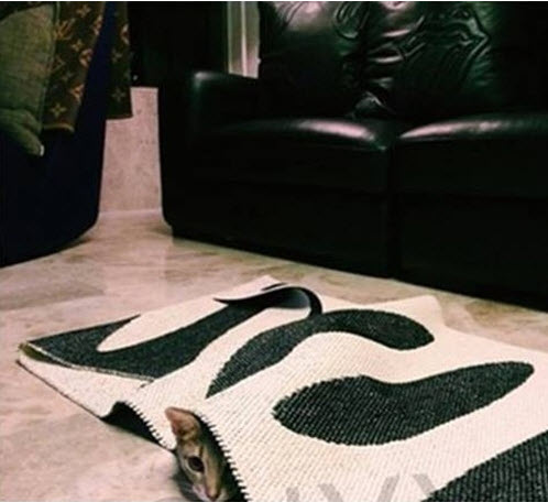 Căn nhà toàn đồ vật lạ và đắt tiền của G-Dragon - 14