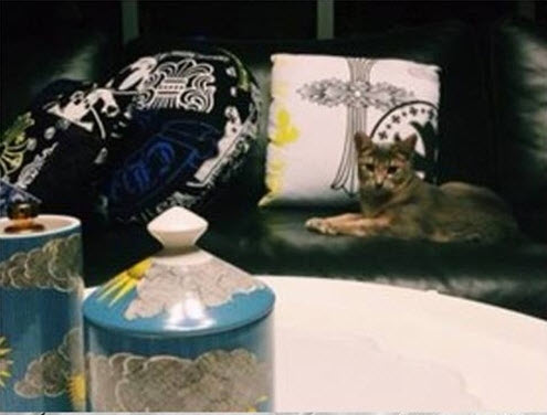 Căn nhà toàn đồ vật lạ và đắt tiền của G-Dragon - 13