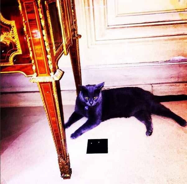 Căn nhà toàn đồ vật lạ và đắt tiền của G-Dragon - 3