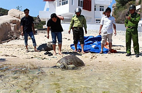 Một cán bộ Vườn quốc gia Núi Chúa bị đâm thiệt mạng - 1