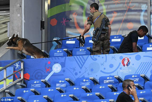 trực tiếp bồ đào nha gặp pháp