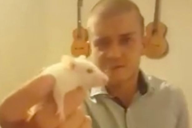Úc: Ăn đầu chuột sống, phát video lên Facebook - 1