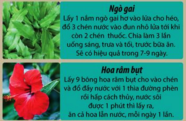 Infographic: Những bài thuốc dân gian trị sỏi thận hiệu quả - 2