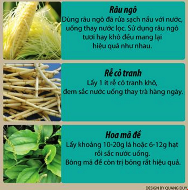 Infographic: Những bài thuốc dân gian trị sỏi thận hiệu quả - 3