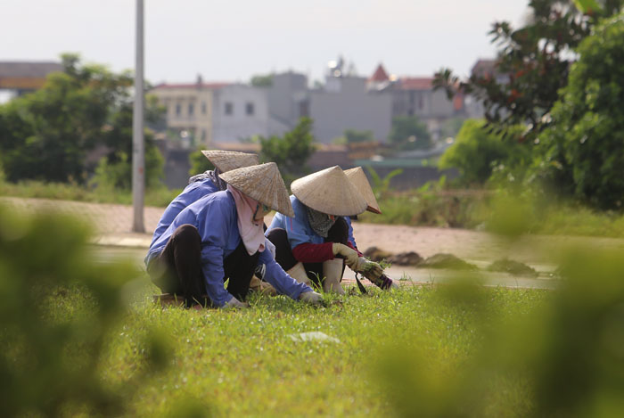 Ngắm đường Hoàng Sa, Trường Sa ở Thủ đô - 9