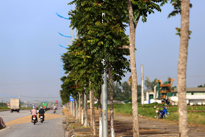 Ngắm đường Hoàng Sa, Trường Sa ở Thủ đô - 11