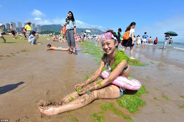 Ảnh: Tảo sinh sôi đột biến, phủ xanh lè bờ biển ở TQ - 10