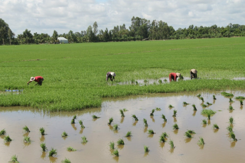 ĐBSCL khốn khó vì Trung Quốc biến Mekong thành của riêng - 2