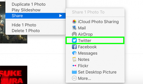 Cách chia sẻ hình ảnh lên Facebook, Twitter qua Apple Photos - 8