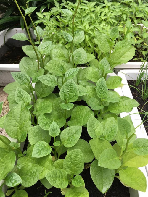 Đột nhập biệt thự triệu đô của Thủy Tiên - Công Vinh - 12