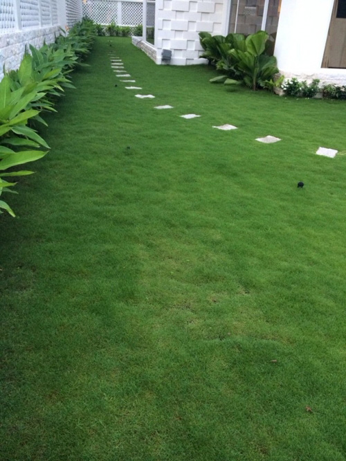Đột nhập biệt thự triệu đô của Thủy Tiên - Công Vinh - 10