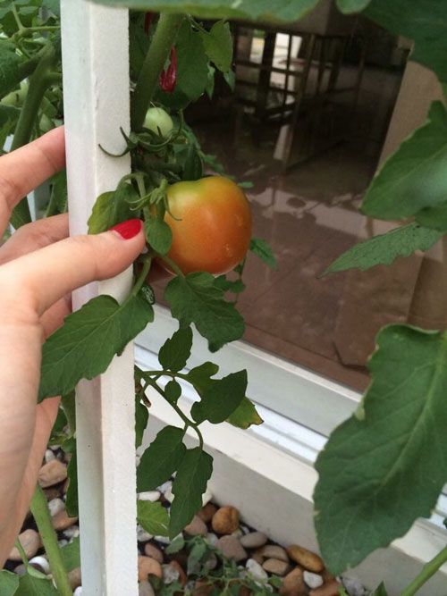 Đột nhập biệt thự triệu đô của Thủy Tiên - Công Vinh - 16