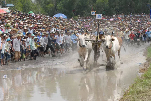 Khai thác bừa bãi “giết” du lịch miền Tây - 1