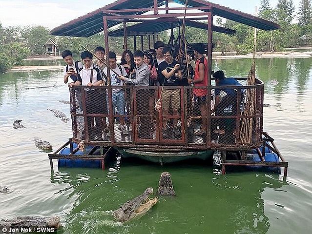 Rợn người du khách TQ dùng bè tạm bợ cho bầy cá sấu ăn - 1