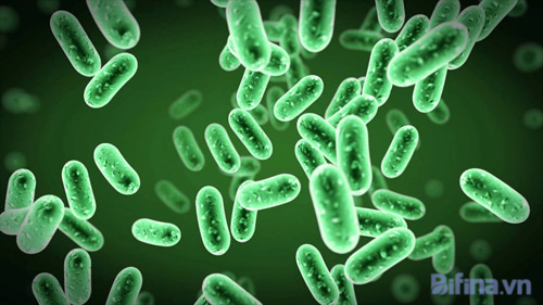 Thoát viêm đại tràng co thắt từ bài thuốc hay của Nhật - 2