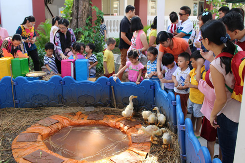 Trải nghiệm nông trại khó quên tại Saigon Academy - 1