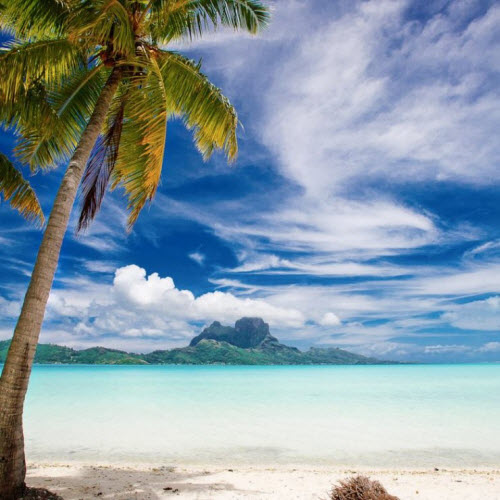 Bí mật ngạc nhiên về thiên đường nhiệt đới Bora Bora - 9