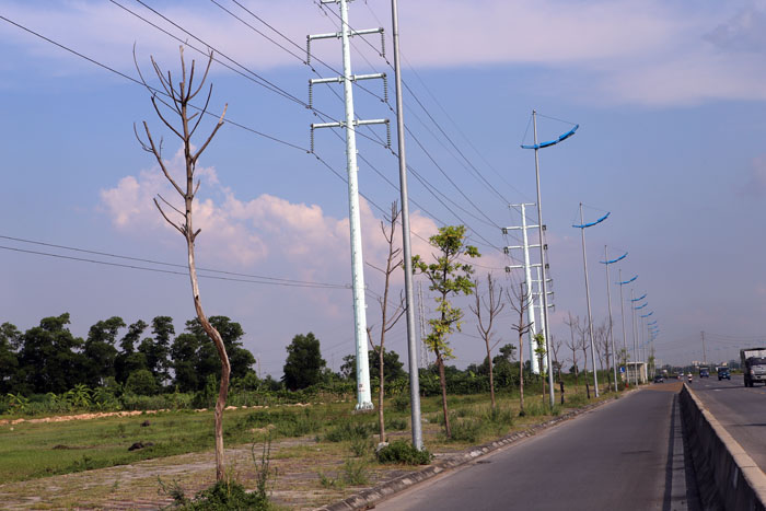Hà Nội: Cây xanh trên đường nghìn tỷ hoá củi khô - 1