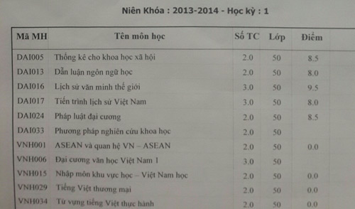 Thành tích học tập đối lập giữa Trấn Thành và Hari Won - 6