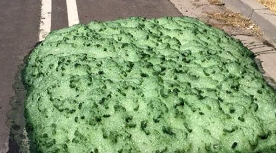 Mỹ: Hoang mang với bọt xanh bí ẩn đùn trên đường phố - 1