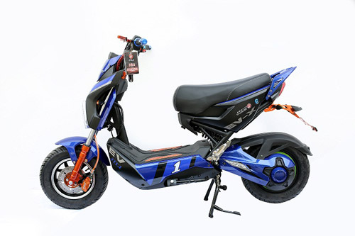 Sức hút xe điện made in Việt Nam - 3