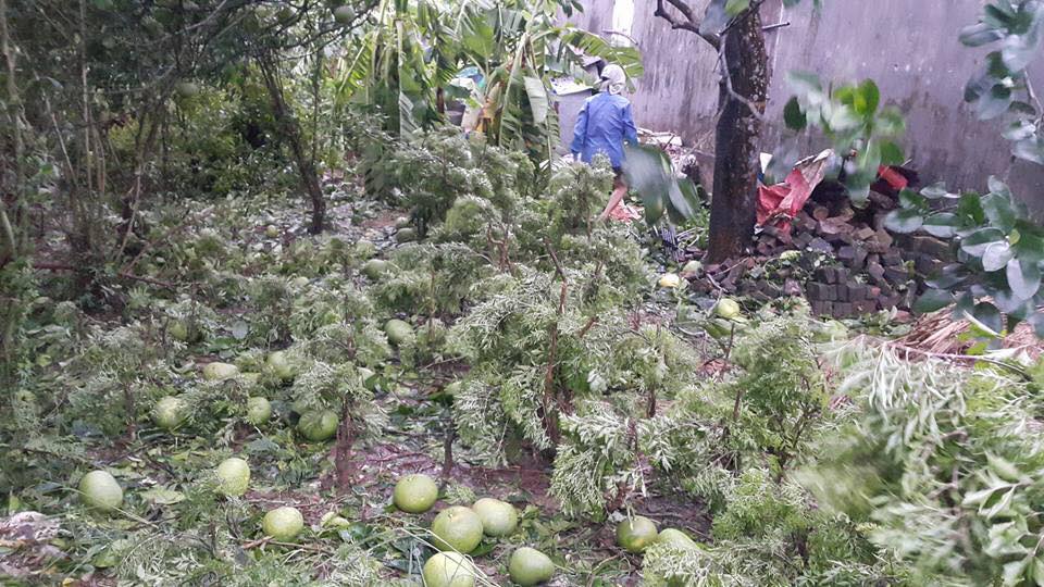 Bão số 1 càn quét, các tỉnh ven biển miền Bắc thiệt hại nặng nề - 3