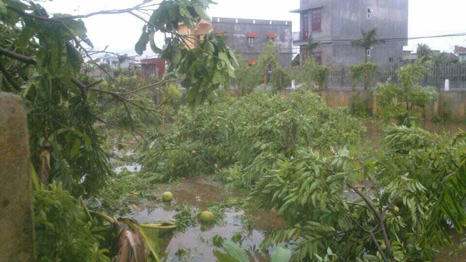 Bão số 1 càn quét, các tỉnh ven biển miền Bắc thiệt hại nặng nề - 10