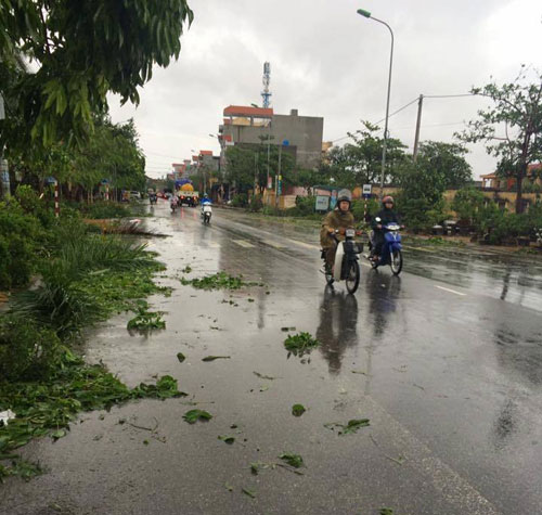 Bão số 1 càn quét, các tỉnh ven biển miền Bắc thiệt hại nặng nề - 12