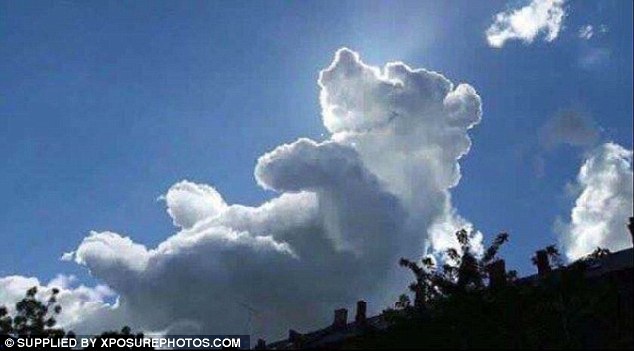 Đám mây giống hệt chú gấu nằm ngửa trên bầu trời - 1