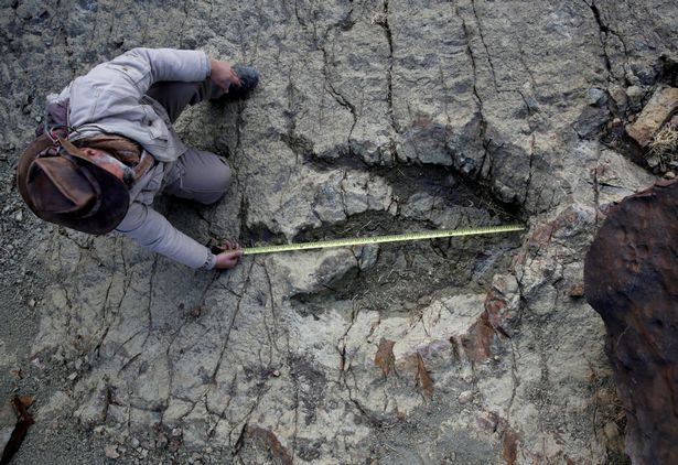 Phát hiện dấu chân khủng long 80 triệu năm ở Bolivia - 1