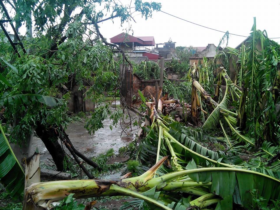 &#34;Bão mạnh quá, chúng tôi trở tay không kịp&#34; - 4