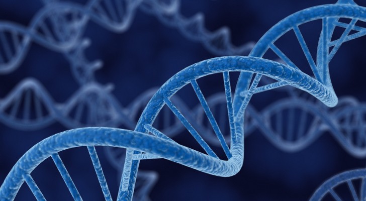 Mối họa khi tóc, nước bọt của bạn lọt vào tay kẻ xấu - 1